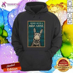 Funny Here Sits A Nice Arse Hoodie
