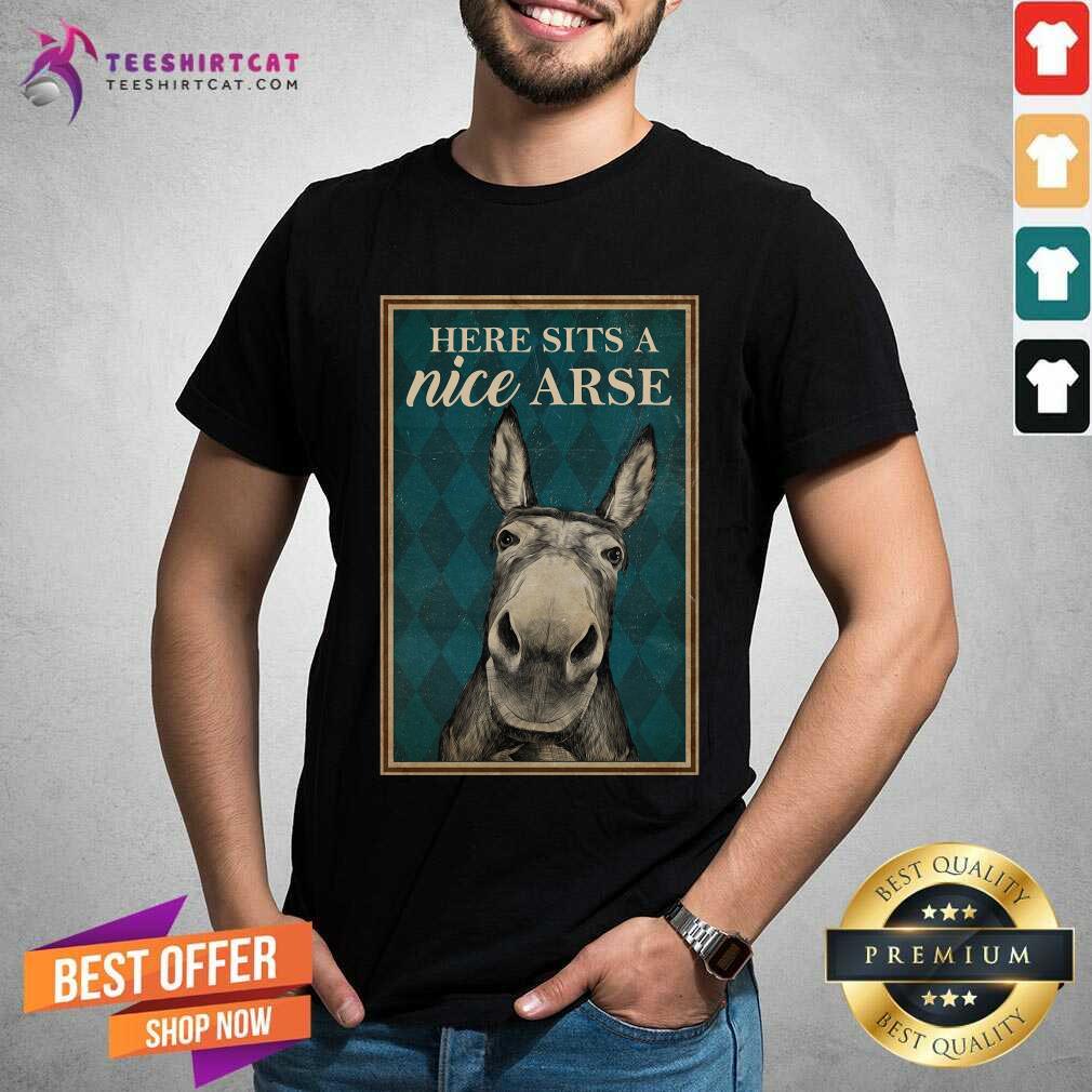 Funny Here Sits A Nice Arse Shirt