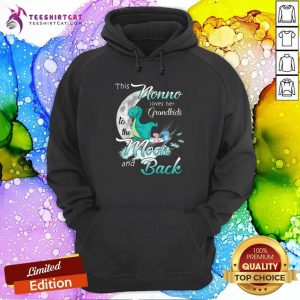 Nice Dinosaurs This Nono Loves Her Grandkids Moon And Back Hoodie