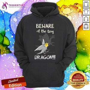 Beware Of The Tiny Dragon Hoodie