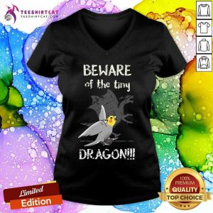 Beware Of The Tiny Dragon V-neck