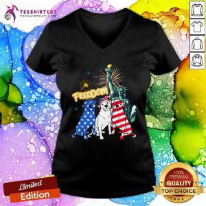 Rottweiler American Patriot Freedom Liberty V-neck
