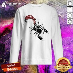 Mariah The Scientist MTS x SP5DER Scorpion sweatshirt