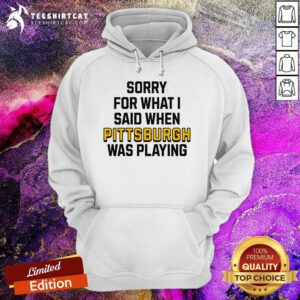 Good Sorry For What I Said When Pittsburgh Was Playing Hoodie