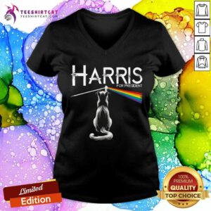 Hot Childless Cat Ladies Kamala Cat Lady Rainbow V-neck