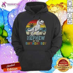 Good Nephew Dinosaur Of The Birthday Matching Family Sunset Hoodie