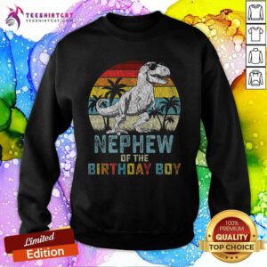 Good Nephew Dinosaur Of The Birthday Matching Family Sunset Sweatshirt