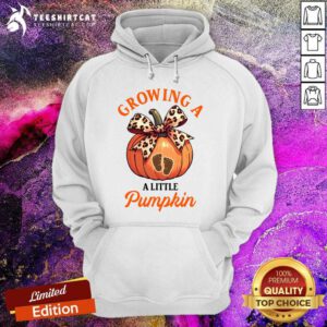 Hot Pregnancy Thanksgiving Growing A Little Pumpkin Hoodie