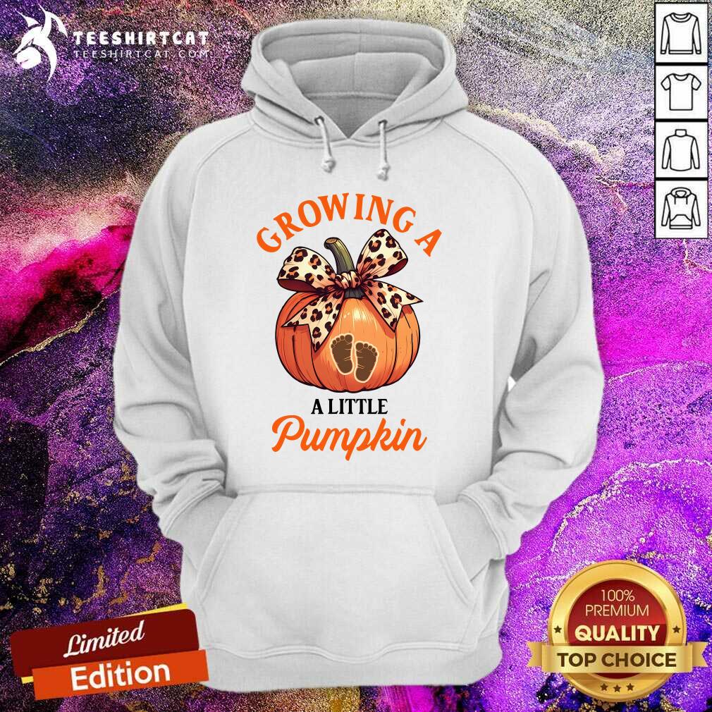 Hot Pregnancy Thanksgiving Growing A Little Pumpkin Hoodie