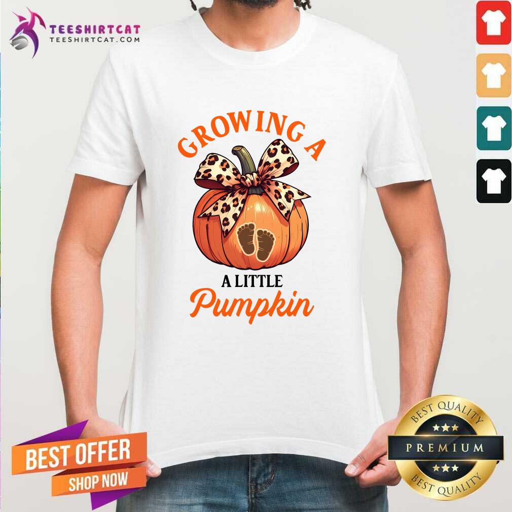 Hot Pregnancy Thanksgiving Growing A Little Pumpkin T-Shirt