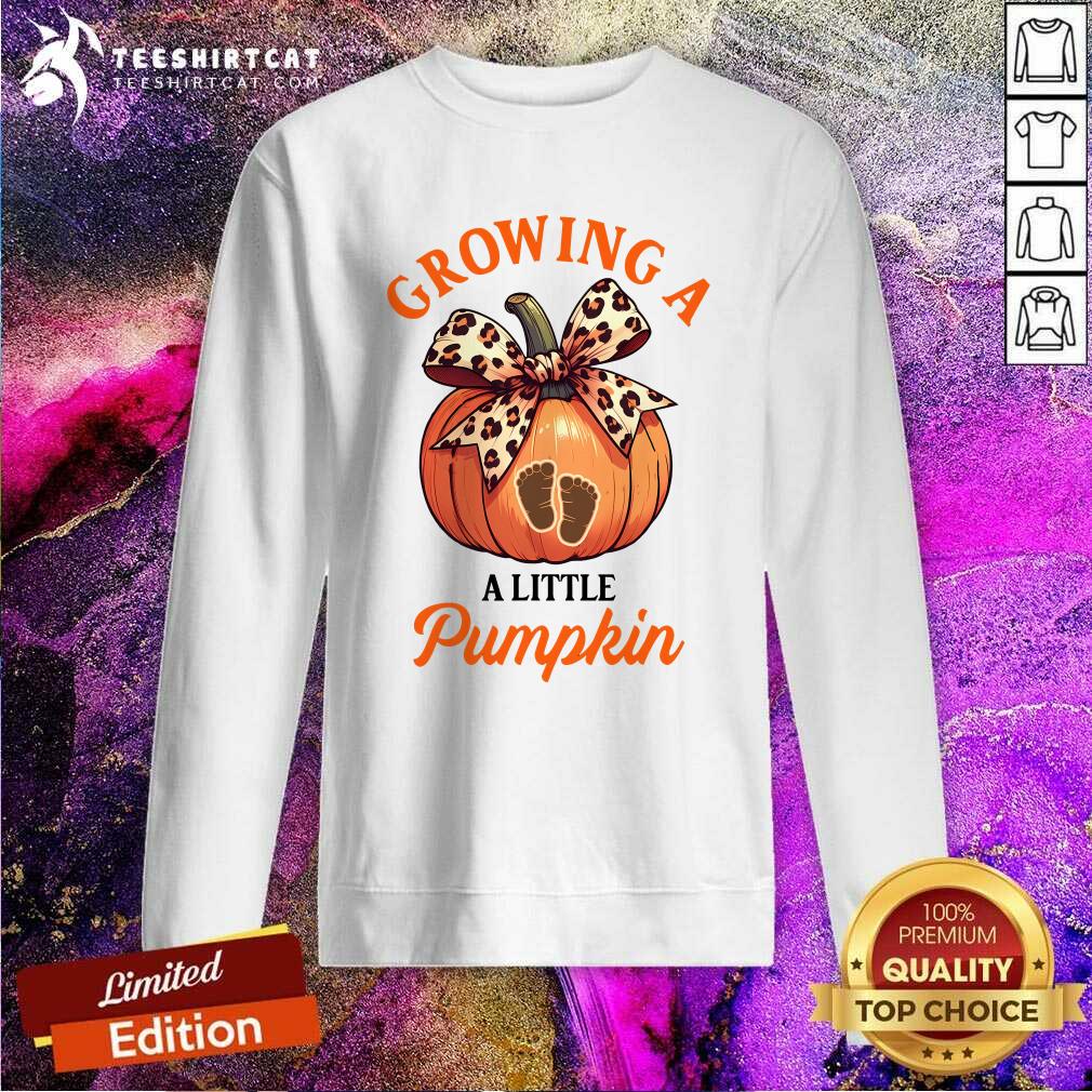 Hot Pregnancy Thanksgiving Growing A Little Pumpkin Sweatshirt