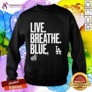 Official Los Angeles Dodgers 2024 World Series Closer Sweatshirt