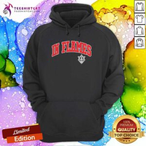 Funny In Flames Collegiate Logo Hoodie