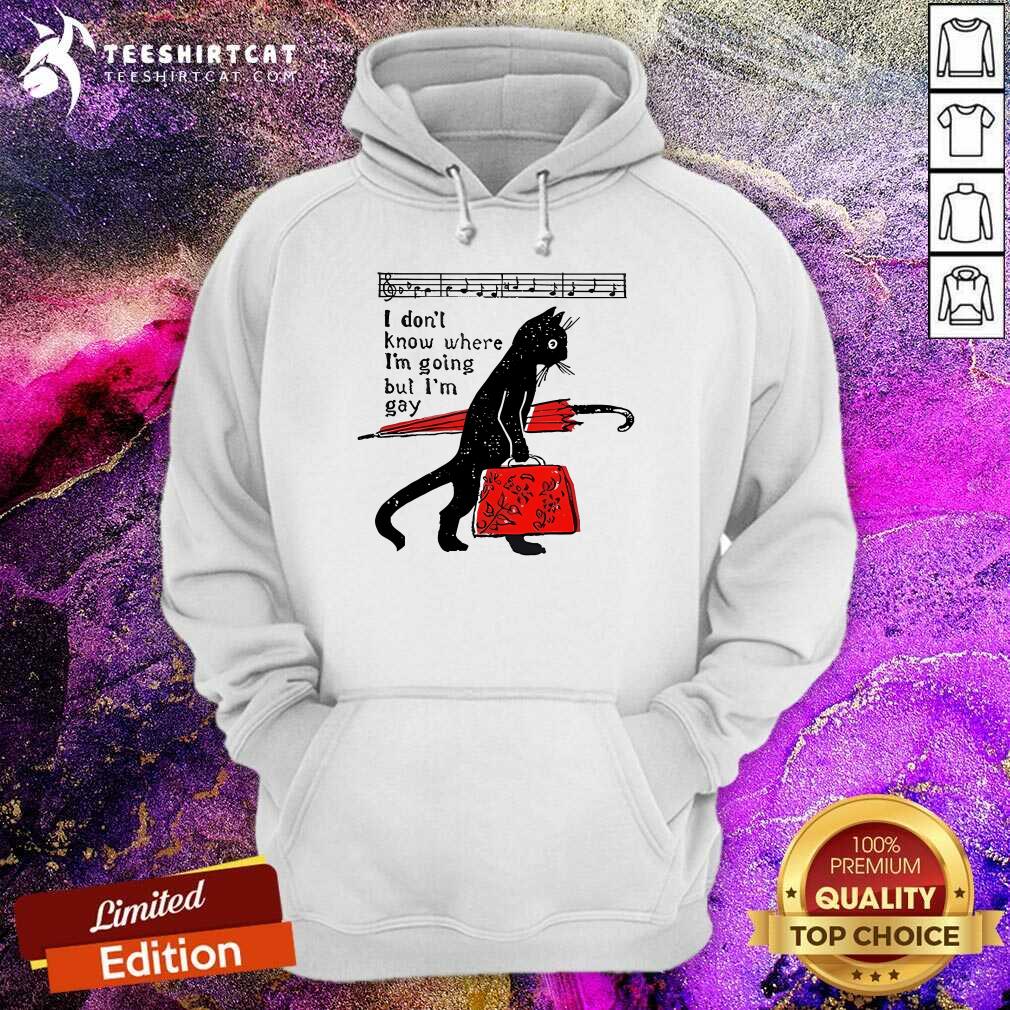 Hot Where I'm Going But I’m Gay Cat Pride Proud LGBTQ Music Queer Art Hoodie