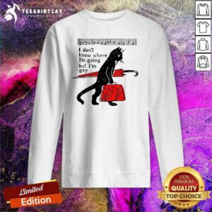 Hot Where I'm Going But I’m Gay Cat Pride Proud LGBTQ Music Queer Art Sweatshirt