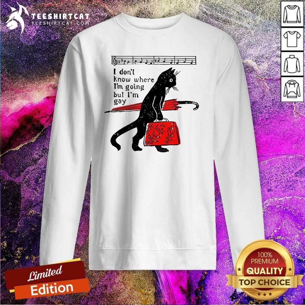 Hot Where I'm Going But I’m Gay Cat Pride Proud LGBTQ Music Queer Art Sweatshirt