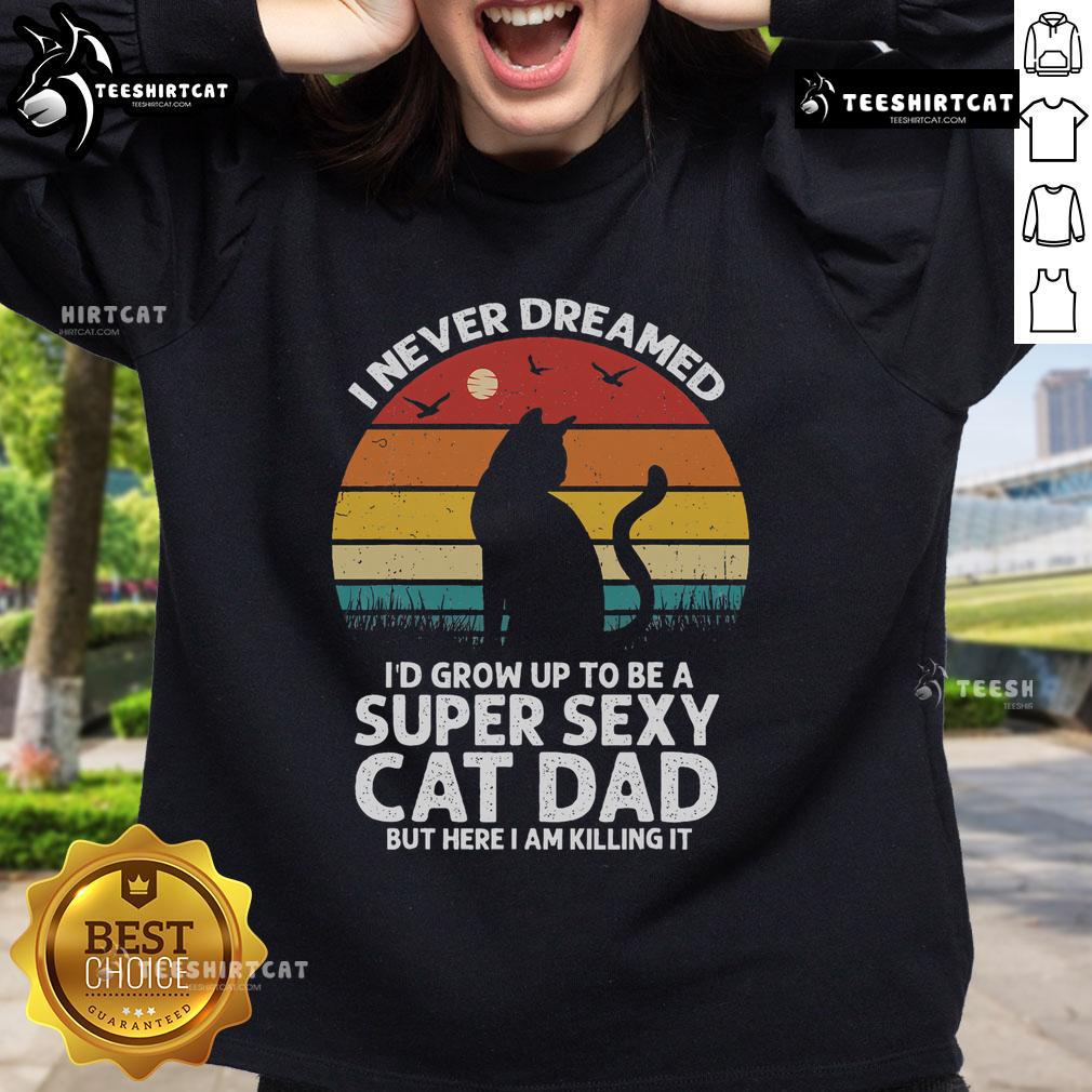 Alt Text: Vintage sunset sweatshirt with 'I Never Dreamed I'd Grow Up To Be A Super Sexy Cat Dad' design.