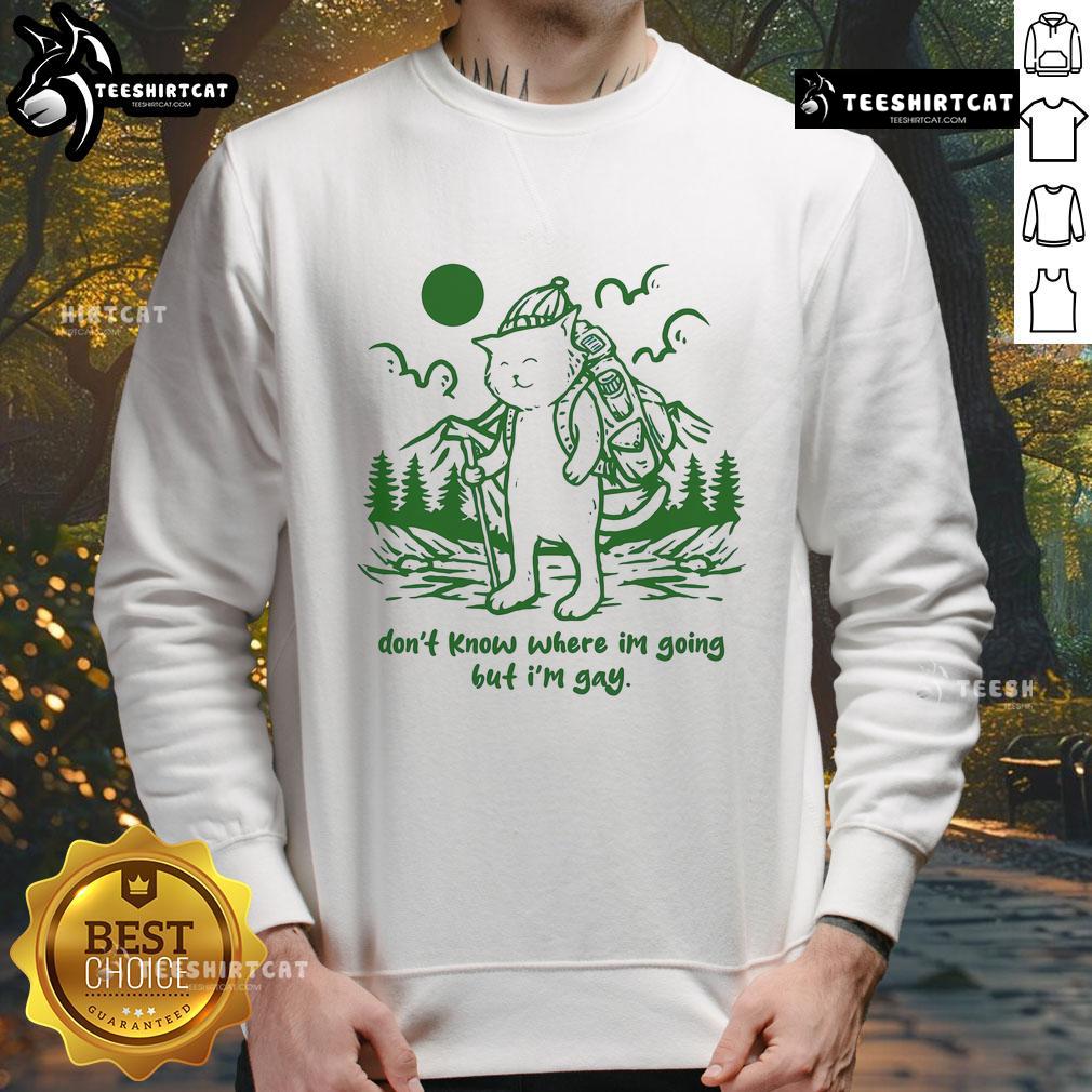 Funny cat in a colorful 'Don't Know Where I'm Going But I'm Gay' sweatshirt, showcasing a playful and vibrant design.