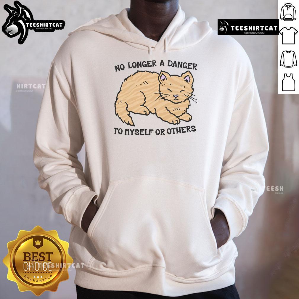 Cute No Longer a Danger to Myself or Others hoodie in vibrant colors, perfect for casual and comfortable wear.