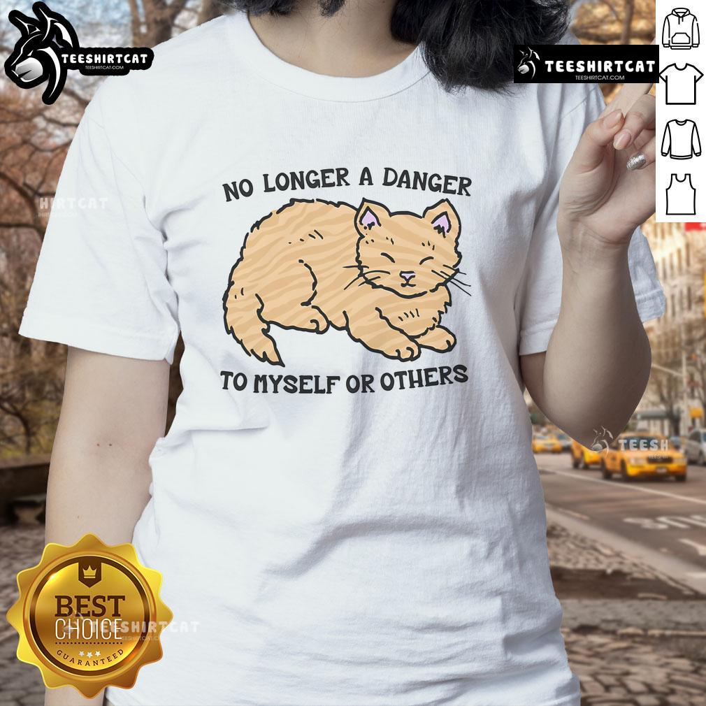 Cute No Longer a Danger to Myself or Others Ladies Tee featuring a playful graphic on a stylish women's shirt.