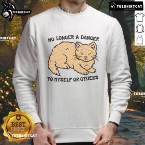 Model wearing Cute No Longer A Danger To Myself Or Others sweatshirt in casual setting, showcasing trendy graphic design.