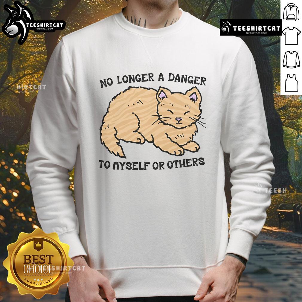 Model wearing Cute No Longer A Danger To Myself Or Others sweatshirt in casual setting, showcasing trendy graphic design.