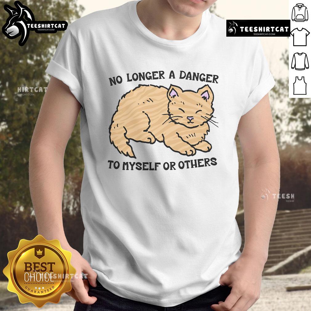 Alt Text: Cute No Longer A Danger To Myself Or Others T-Shirt featuring playful typography on a stylish tee.