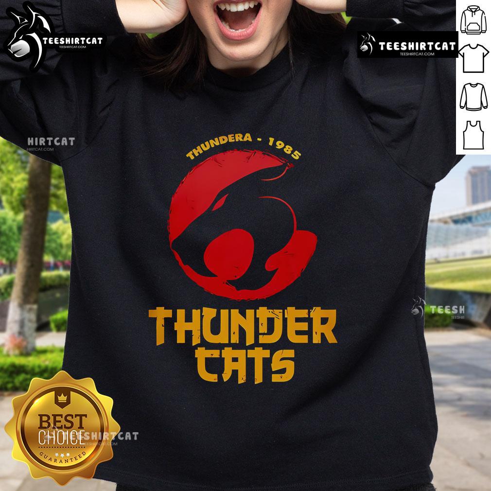 Alt Text: Official ThunderCats 40th Anniversary Special Sweatshirt featuring iconic graphics and vibrant colors for fans.