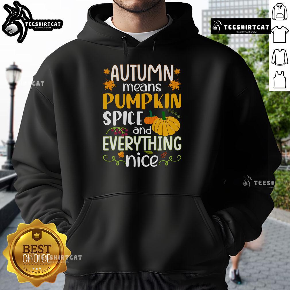 Cozy 'Nice Autumn Means Pumpkin Spice and Everything Nice' hoodie in warm fall colors, perfect for chilly days.