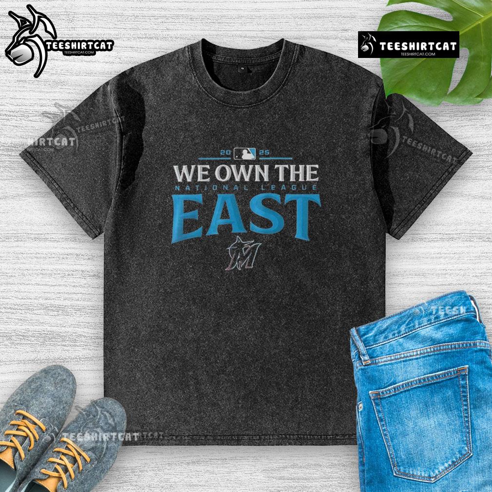 Pretty Miami Marlins 2025 We Own The American League East Division Champions washed t-shirt design showcasing team pride.