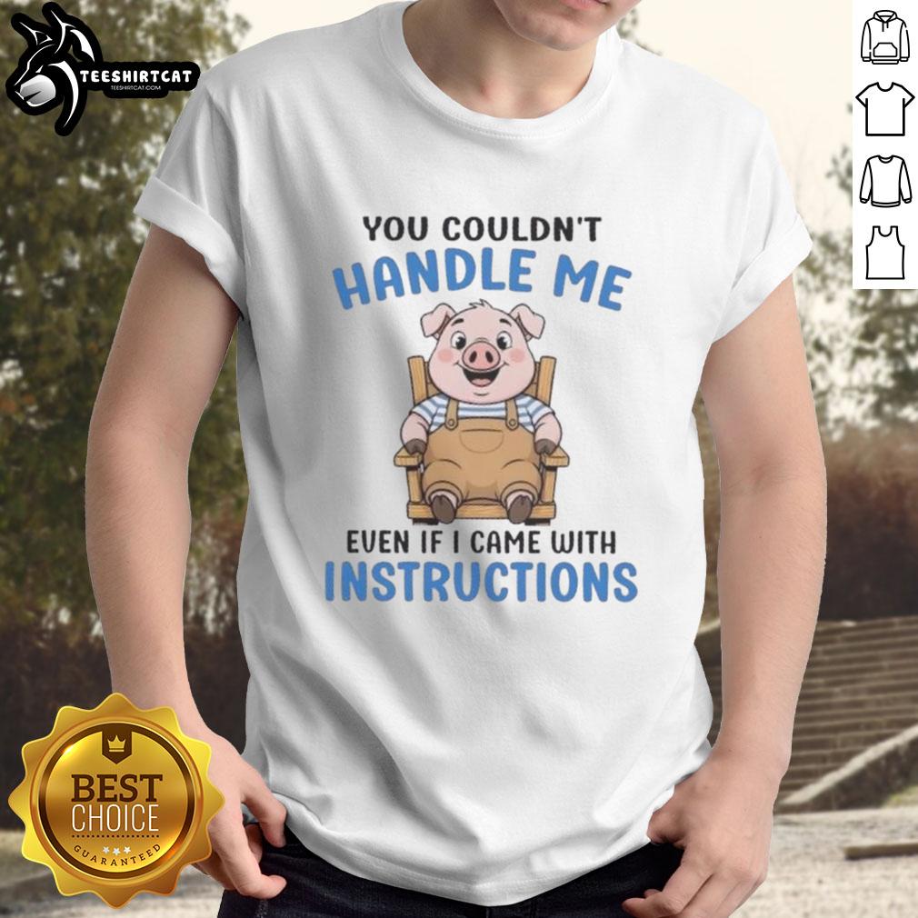 Alt Text: Cute pig graphic on a t-shirt with the phrase You Couldn't Handle Me Even If I Came With Instructions.