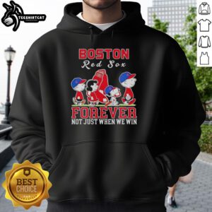 Pretty Snoopy and Charlie Brown Boston Red Sox baseball hoodie, celebrating fandom forever, not just when we win.