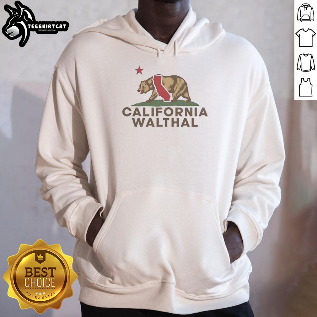 Vintage California Bear hoodie featuring 'California Republic' wordplay, perfect for stylish California pride.
