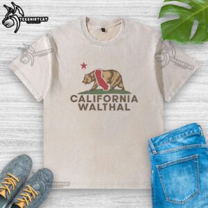 Vintage washed t-shirt featuring a California bear with 'California Republic' wordplay design. Perfect for California lovers!