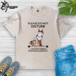 Top horse graphic on a 'Please Do Not Disturb' washed t-shirt, perfect for horse lovers wanting peace and quiet.