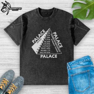 Premium Palace Scheme washed t-shirt in soft fabric, featuring a trendy design and comfortable fit for casual wear.