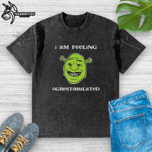 Premium Shrek 'I Am Feeling Ogrestimulated' washed t-shirt showcasing vibrant graphics and a comfortable fit.