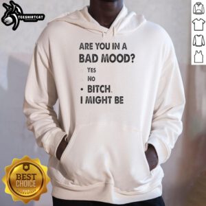 Trendy black hoodie featuring 'Are You In A Bad Mood? Bitch, I Might Be' text for casual streetwear style.