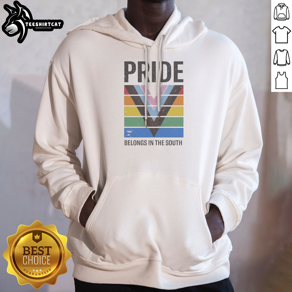 Funny Pride Belongs In The South Hoodie