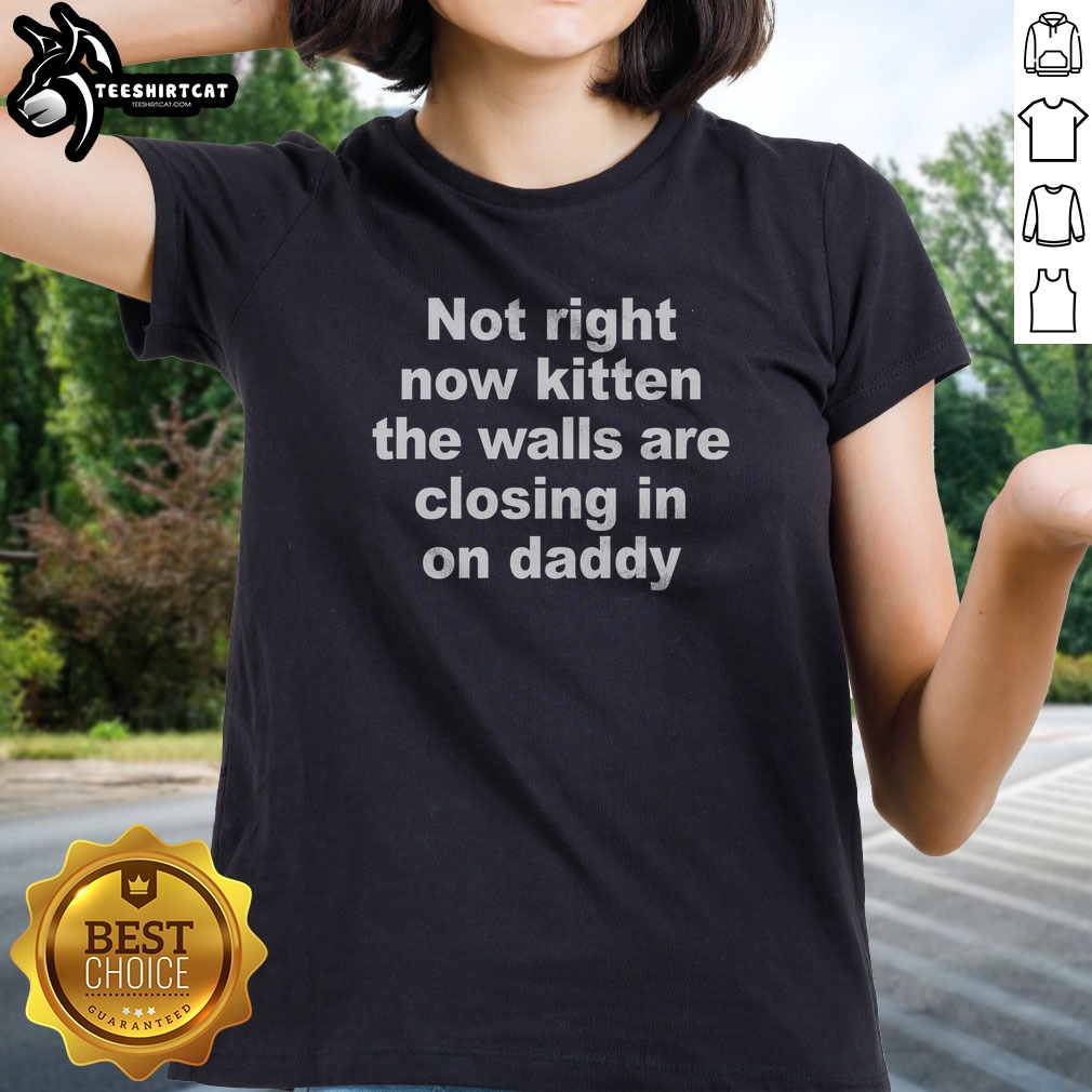 Cat Lover Shirt on Ladies Shirt Cat Lover Shirt shown as a ladies shirt preview