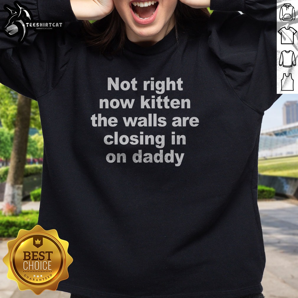 Cat Lover Shirt on Sweatshirt Cat Lover Shirt shown as a sweatshirt preview