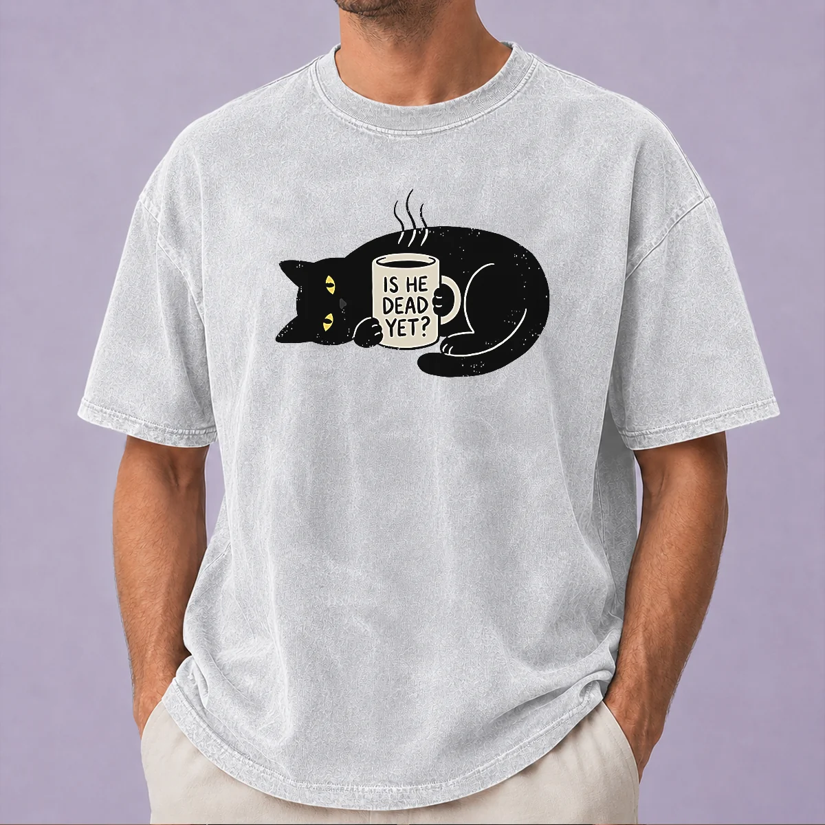Nice SchröDinger'S Roommate Geek Washed T-Shirt